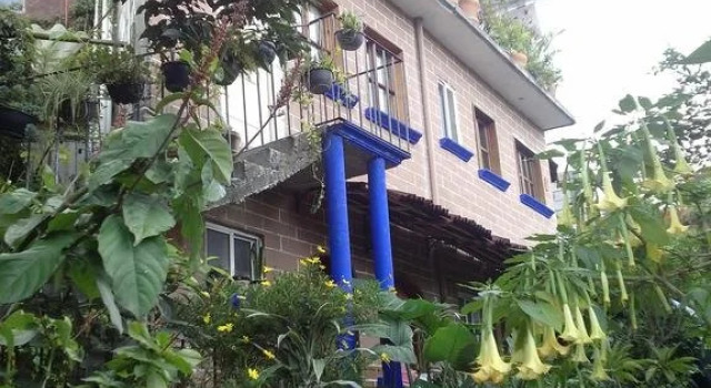 Hospedaje Gema, Rezervovat Hotel Tepoztlán Morelos