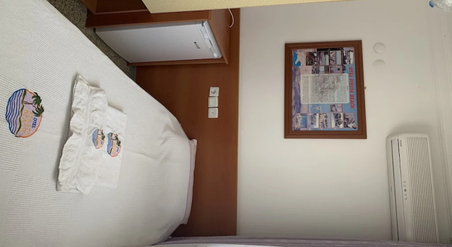 Одноместный номер Standard Hotel Fiesta Beach Didim