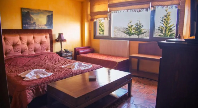 Номер Economy Silva Suites