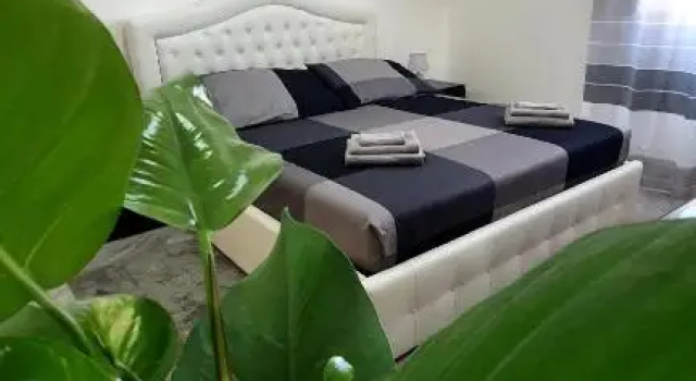 rooms cris