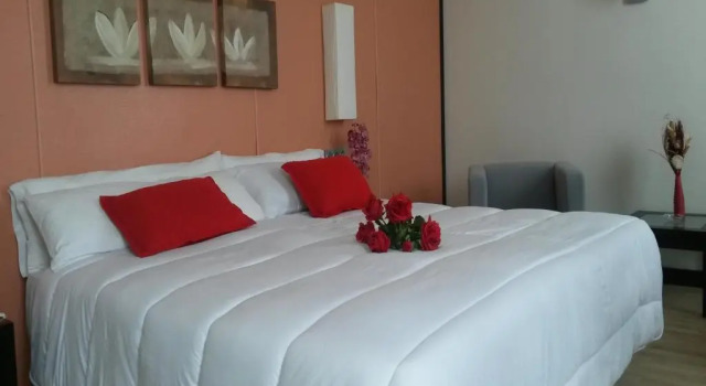 Двухместный номер Superior Hotel Puerta de Ocaña