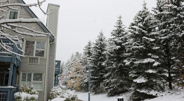 Mountain Springs Resort, Забронировать Курортный отель Блу-Маунтинс Blue Mountain - Collingwood