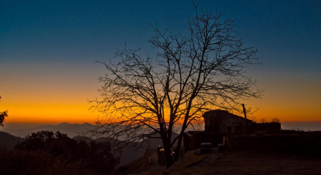 Tree of Life Grand Oak Manor, Binsar Wildlife Sanctuary