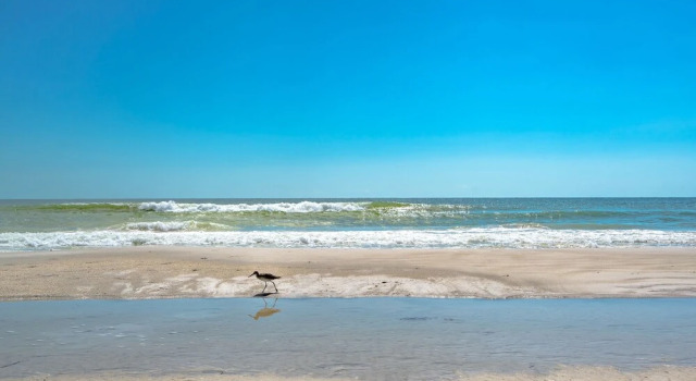 Seabreeze 1, Book Lejlighed Redington Shores Florida