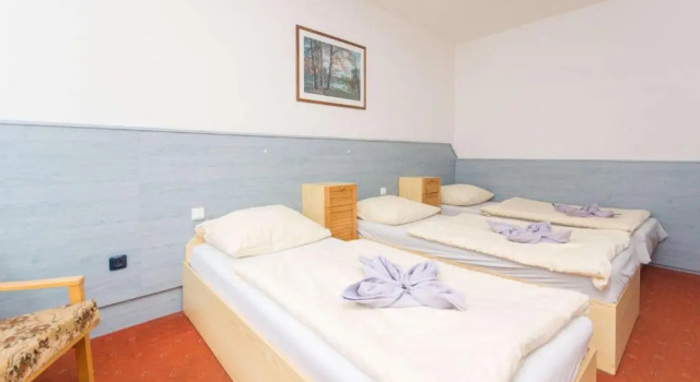 Семейный номер Standard Sport Hotel Gejzirpark