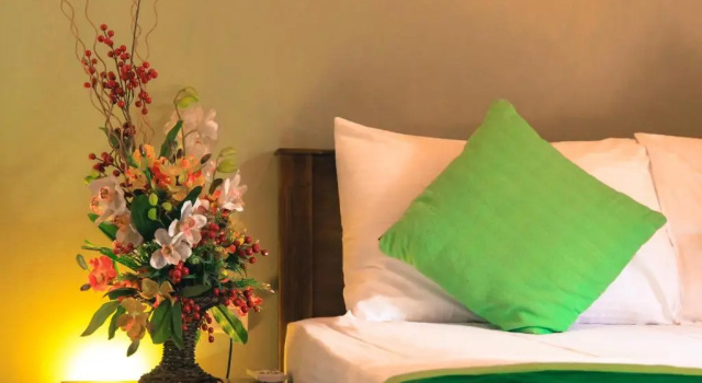 Номер Standard Airport Green Olive Villa