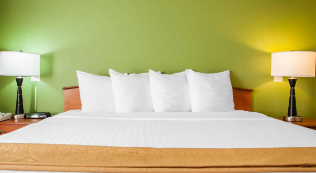Номер Standard Quality Inn Bolingbrook I-55