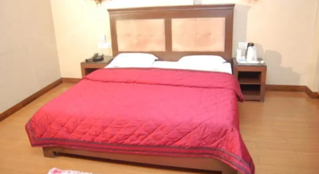 Номер Deluxe Hotel Diplomat Residency