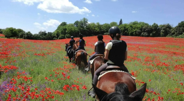 Agriturismo San Filippo