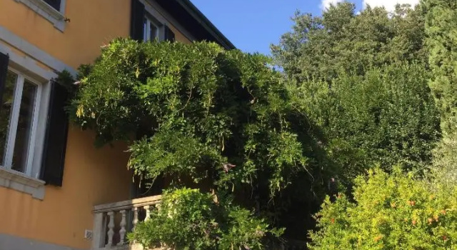 Villa Monte Bianco, Забронировать Вилла Коттеджи Озера Комо, Коттедж