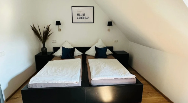 Двухместный номер Economy Rheinländer Seehotel