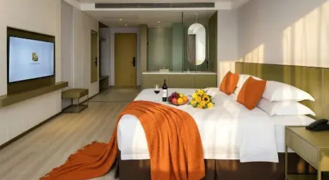 Люкс NATO·QiXin Begonia Hotel
