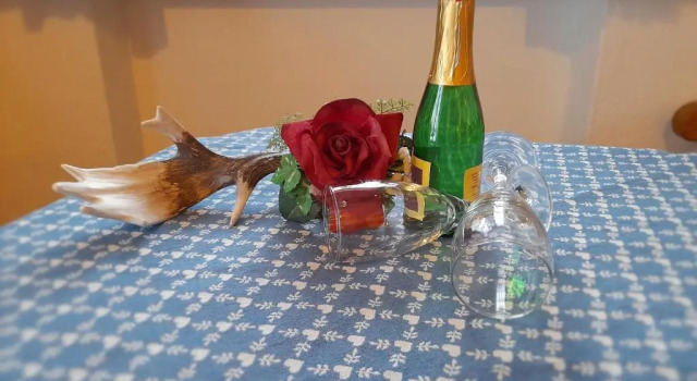 Двухместный номер Standard с видом на горы Pension Loiplstüberl