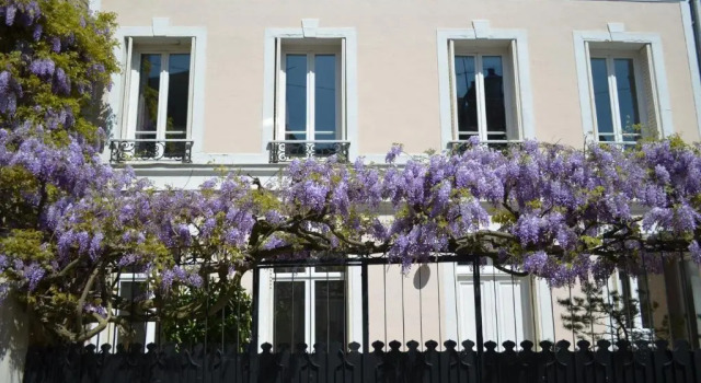 Wisteria, Забронировать Отель Фонтенбло Seine-et-Marne, рядом с Château Gardens