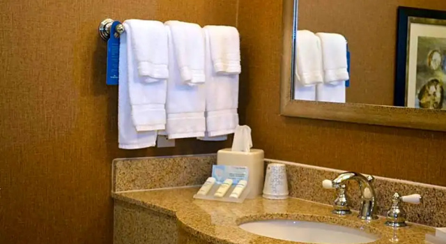 Полулюкс Grand Hilton Garden Inn Houston-Pearland