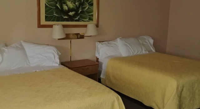 Standart çift kişilik oda Cactus Inn