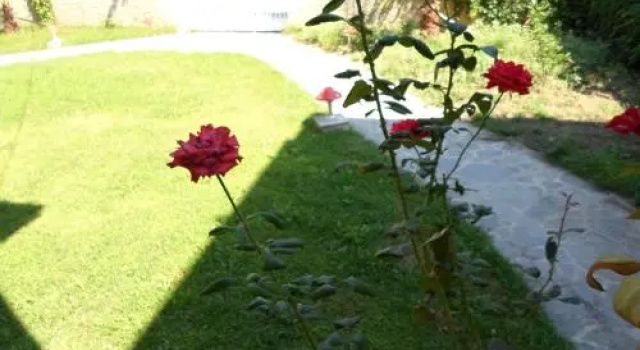 Villa Basil Apart Hotel