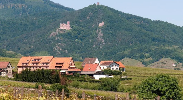 Номер Standard Hotel Restaurant Au Riesling