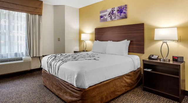 Двухместный номер Standard Sleep Inn Henderson I-85