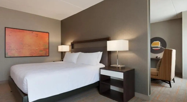 Люкс Hilton Garden Inn Rochester - University & Medical Center