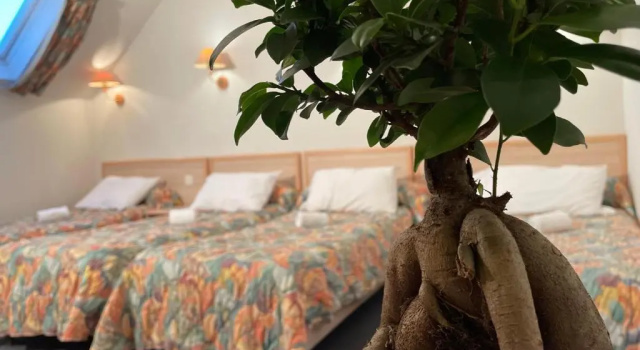 Четырёхместный номер Standard Hotel CÖRONA Lourdes