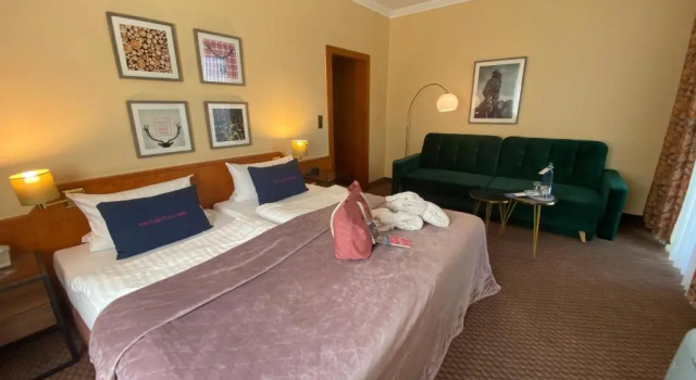 Номер Superior Harz Hotel & Spa Seela