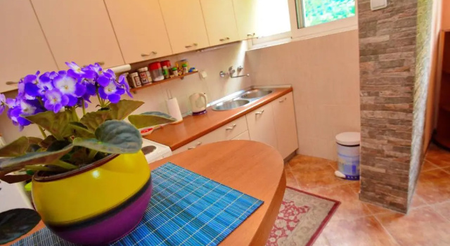 Central Apartment Dobrota I