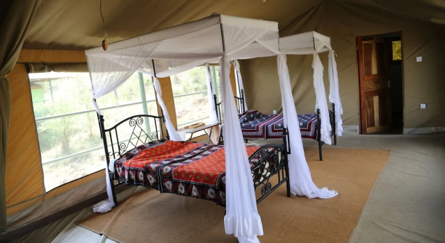 Трёхместный номер Standard Serengeti Ikoma Wild Camp