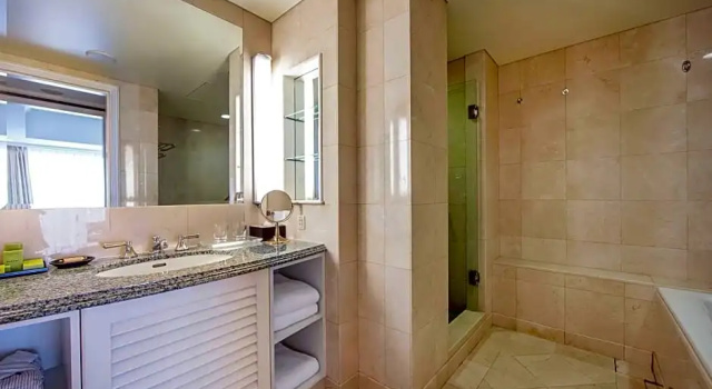 Двухместный люкс с террасой Hilton Tokyo Odaiba
