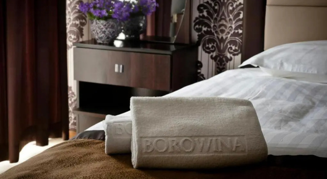 Номер Standard Hotel Borowina