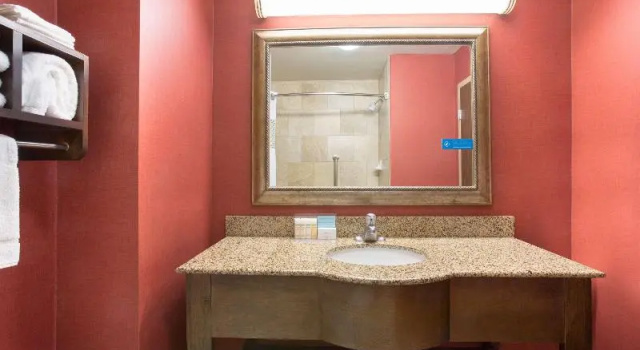 Двухместный номер Premier Hampton Inn Siloam Springs