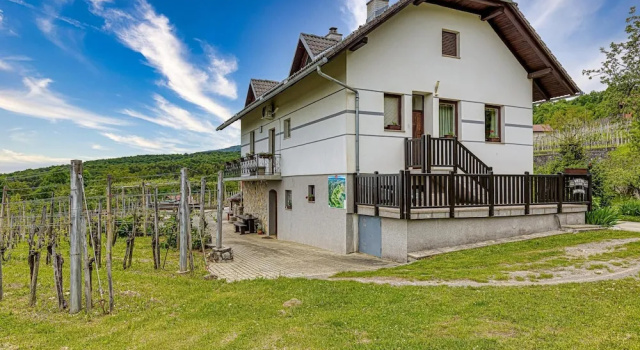 Коттедж Vineyard Homestead Vrtin - Happy Rentals