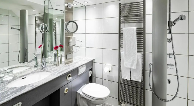 Одноместный номер Standard Hotel Roth am Strande