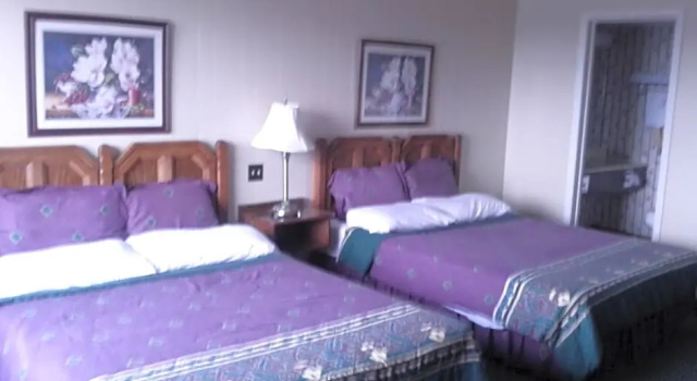 Люкс Deluxe Diamond Motor Inn