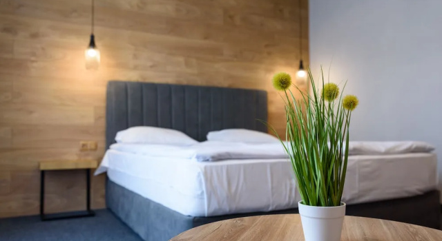 Двухместный номер Deluxe Avenue Hotel Deluxe