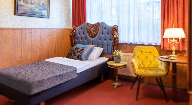 Одноместный номер Standard Hansa Hotel