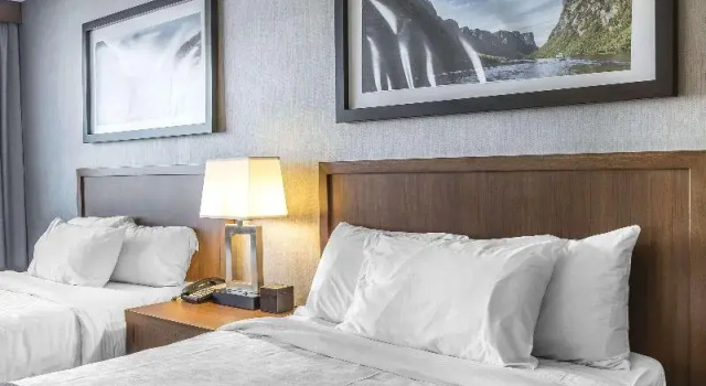 Номер Standard Quality Inn