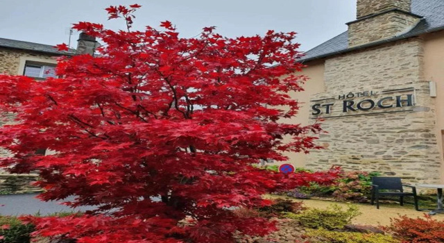 Hôtel Saint-Roch, Saint-Ybard, Забронировать Отель Отели Haute Loire с парковкой, Парковка