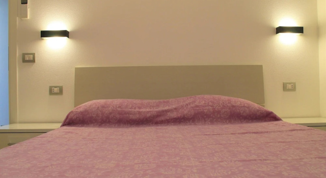 Apartamento 1 dormitorio Il Guercino