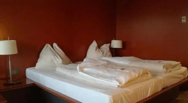 Номер Business Rosenberger Motor-Hotel Ansfelden