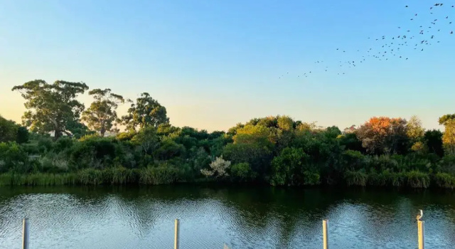 Апартаменты Broadbeach Inverloch
