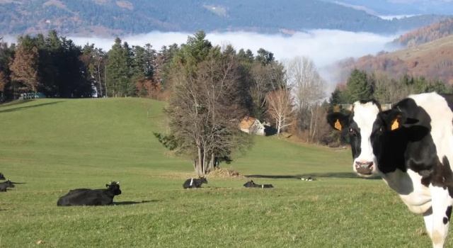 Коттедж Gîte Plein Sud
