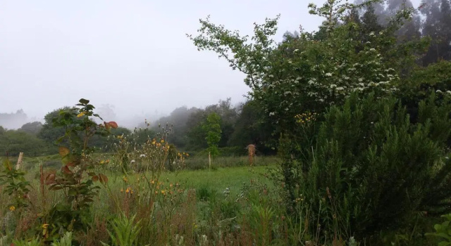 Posada Camino del Norte