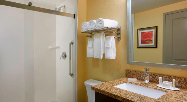Двухместная студия TownePlace Suites by Marriott Thunder Bay