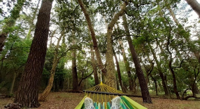 Коттедж La maison de Maritxu - Entre plage et foret - Landes - Pays Basque