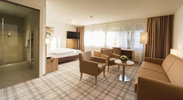 Трёхместный номер Standard Central City Hotel Rochat