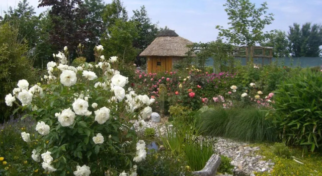 Номер Standard Pension Hohaus