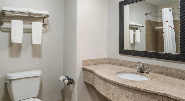 Двухместный люкс Red Roof Inn & Suites Lake Charles