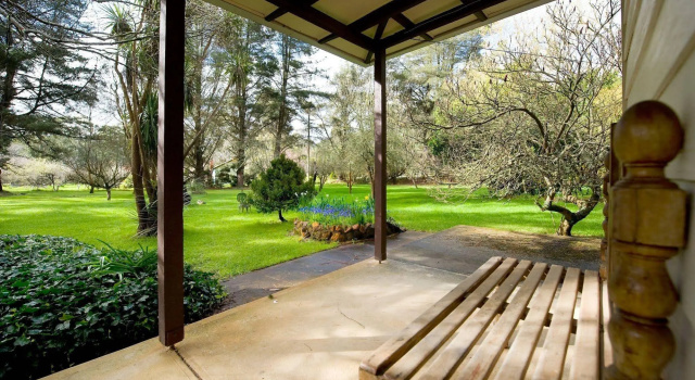 The Orchard