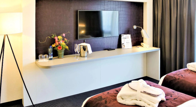 Двухместный номер Standard Mercure Biel